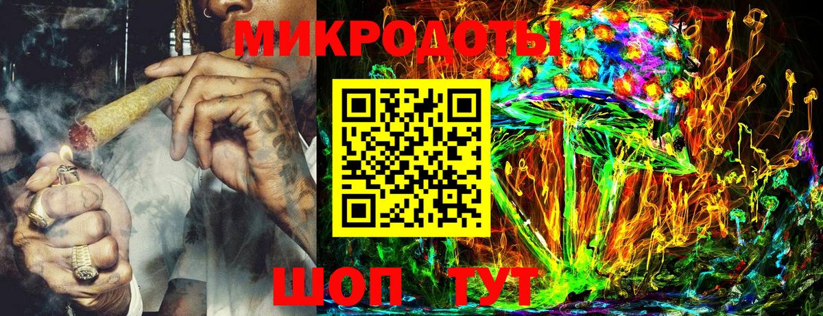 Псилоцибиновые грибы Psilocybe Звенигород